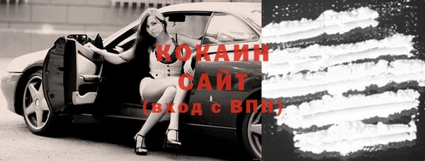 стафф Алексин