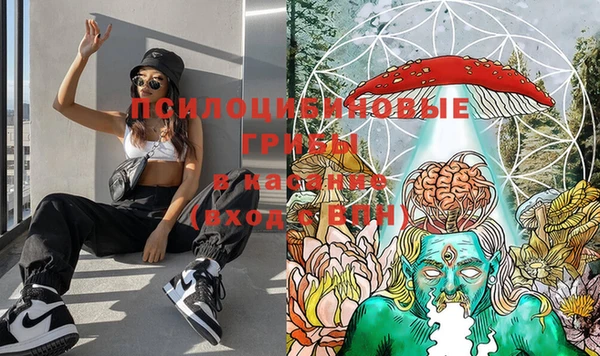 первитин Алексеевка