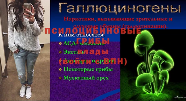 прущие грибы Приозерск