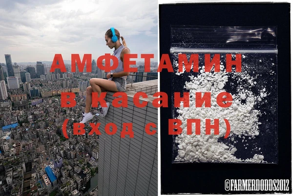 стафф Алексин