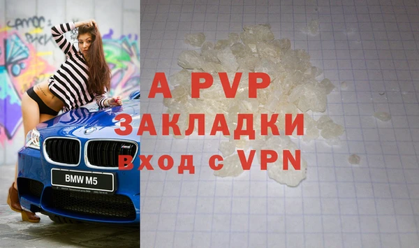 стафф Алексин
