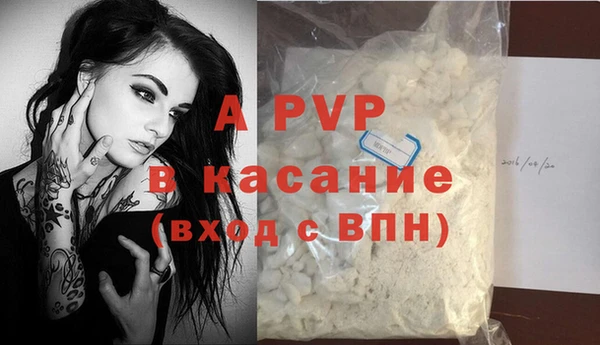 стафф Алексин