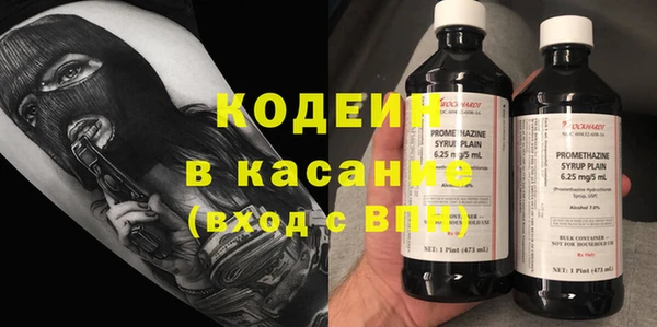 прущие грибы Приозерск
