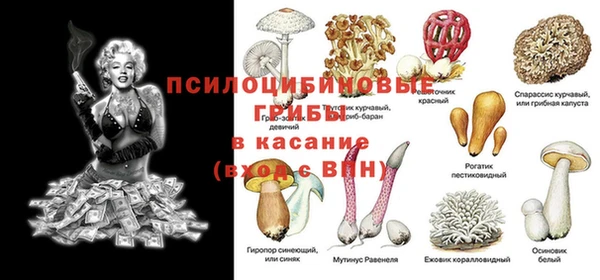 стафф Алексин