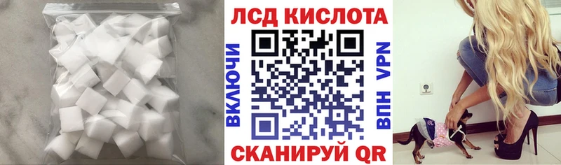 где найти   Николаевск  ЛСД экстази ecstasy 