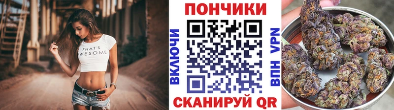 Марихуана Bruce Banner  даркнет наркотические препараты  Николаевск  кракен ССЫЛКА 